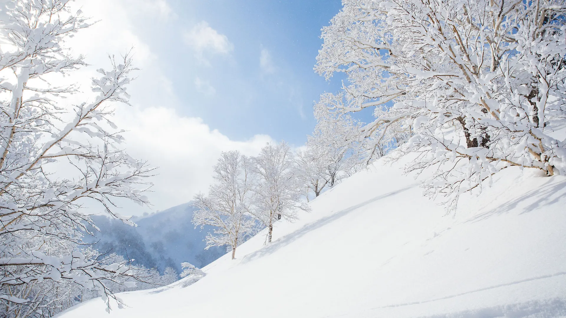 Holiday Niseko Flow Niseko Hirafu Japan